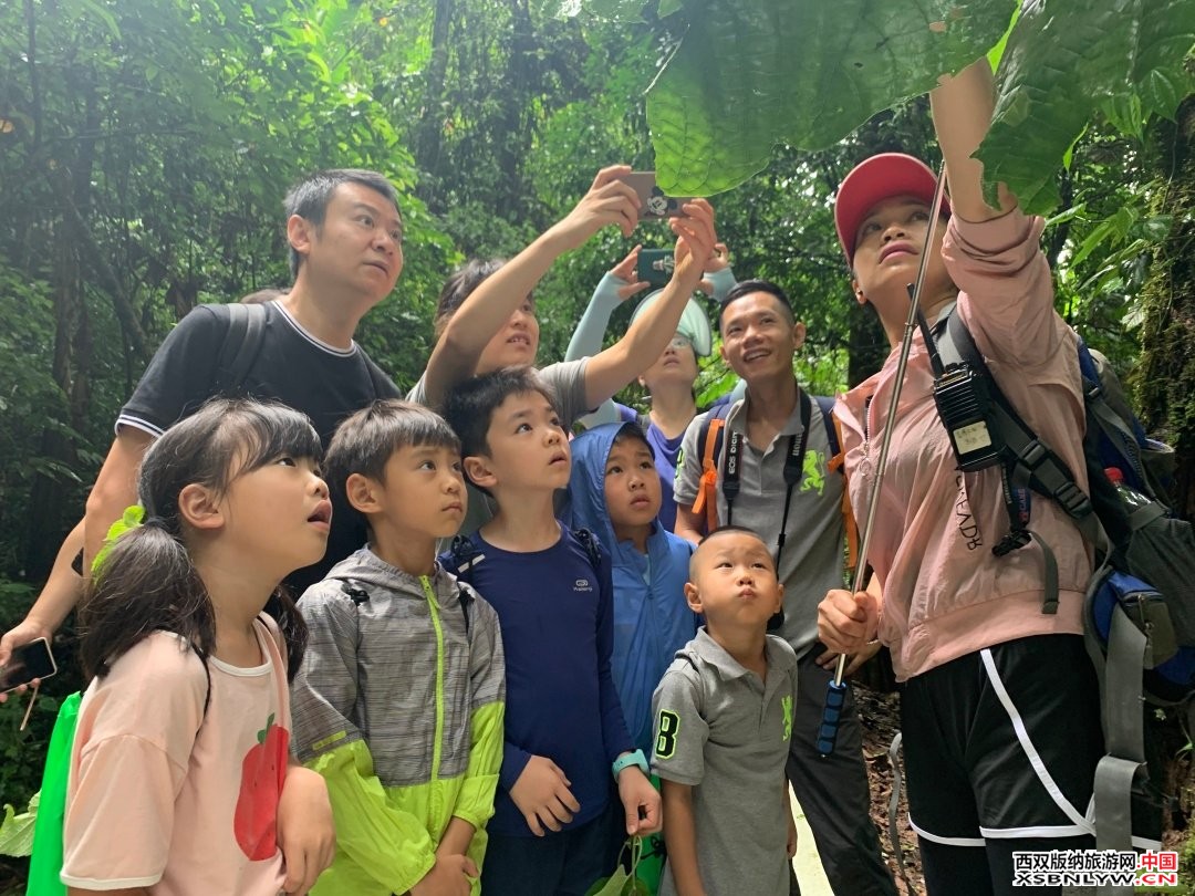 图片关键词 图片关键词