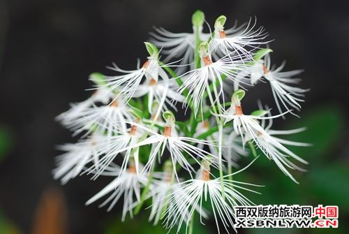 图片关键词 图片关键词