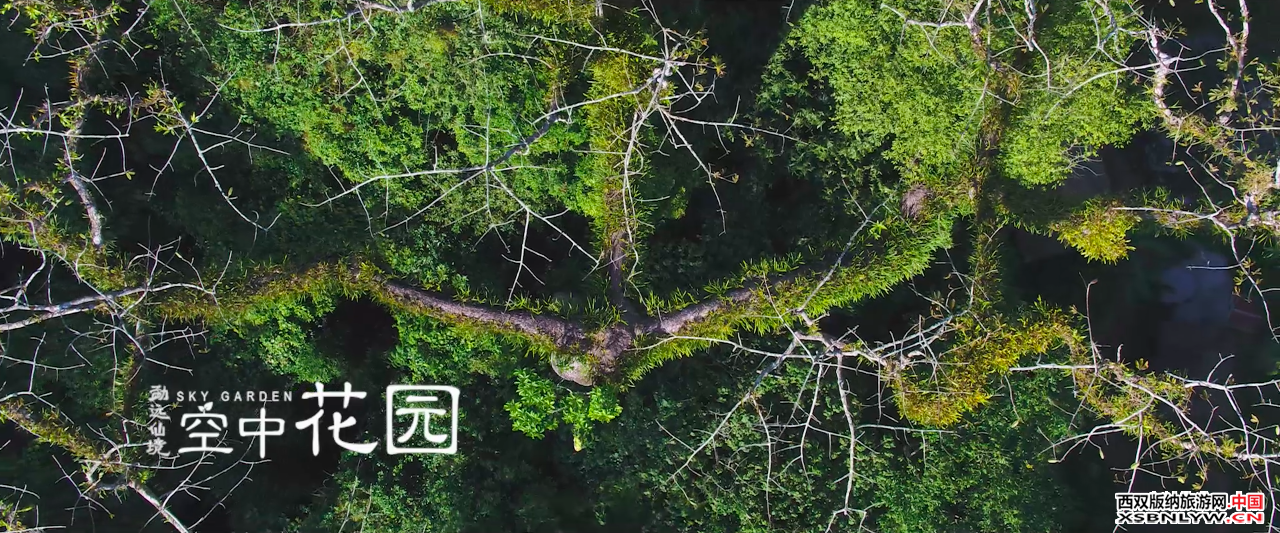 图片关键词 图片关键词