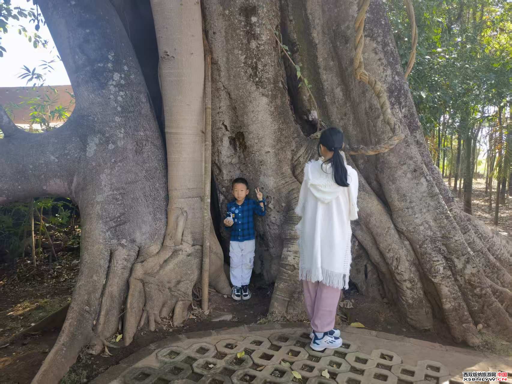 图片关键词 图片关键词