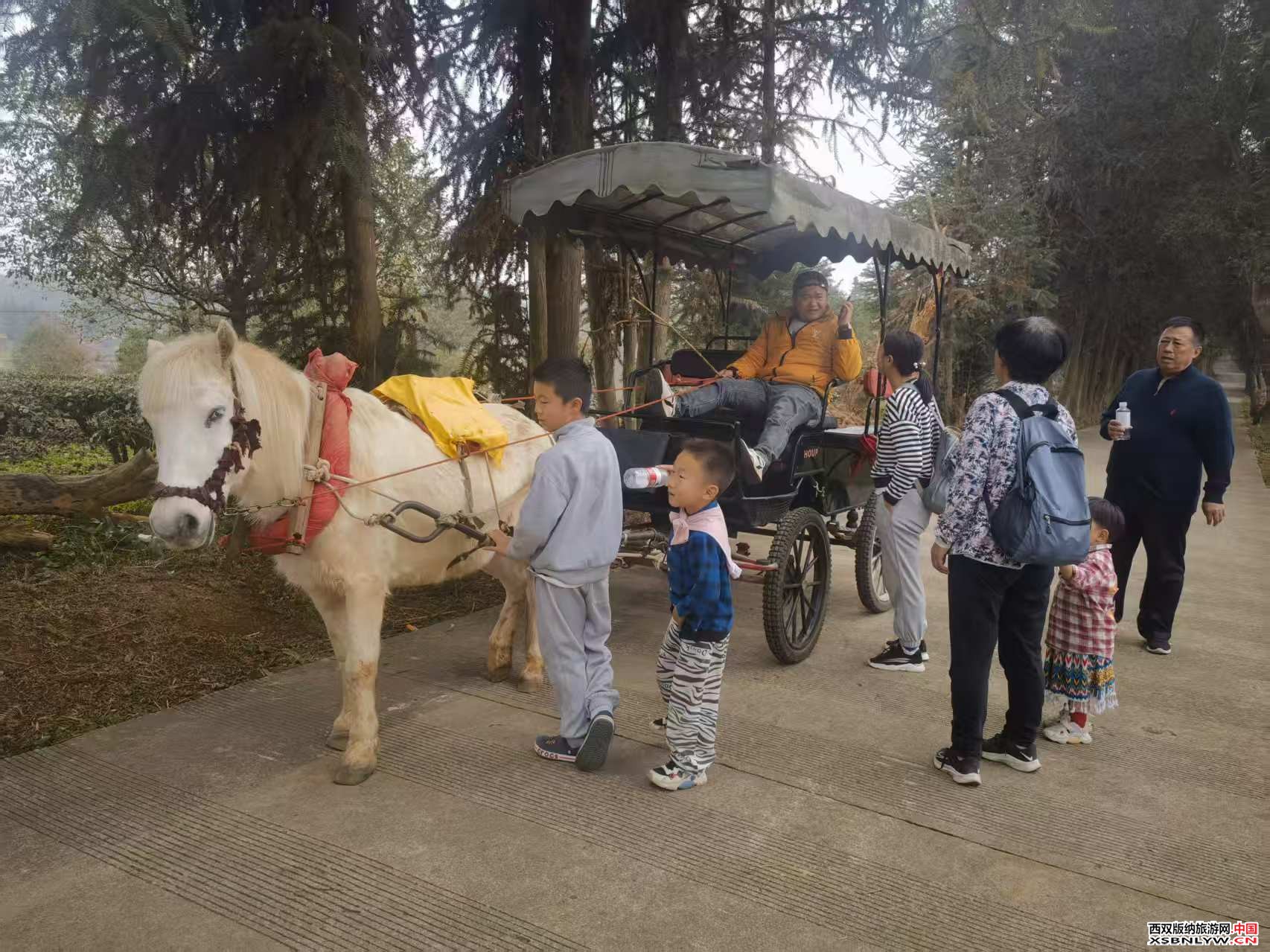 图片关键词 图片关键词